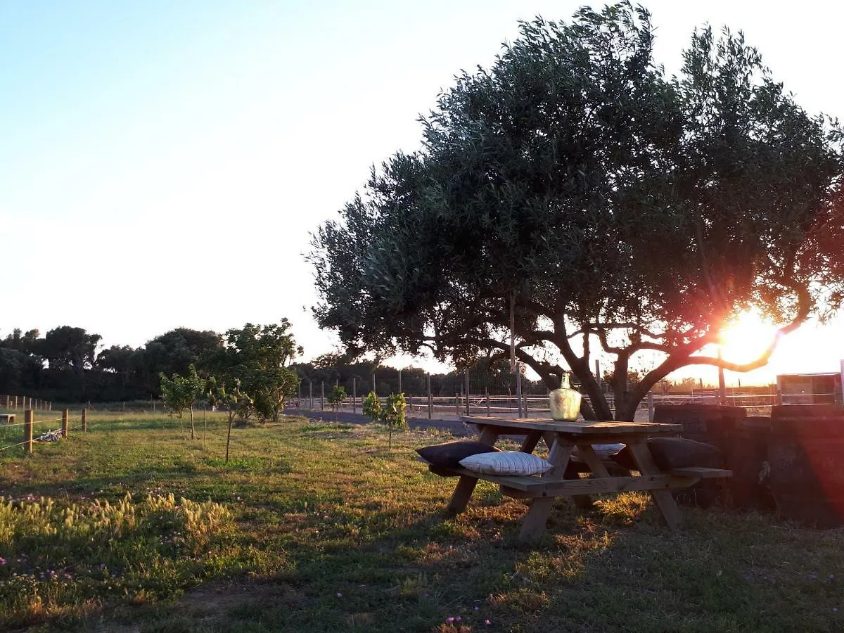 Apartamento En Casa De Campo Cerca De La Playa Pals Spain